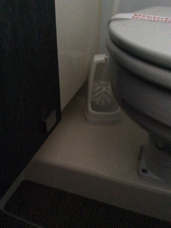 Toilet brush