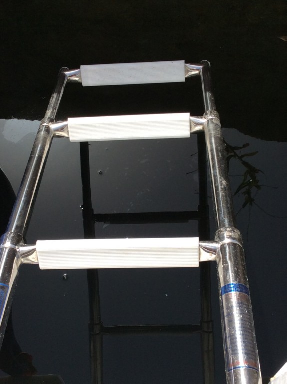 Swimming lader