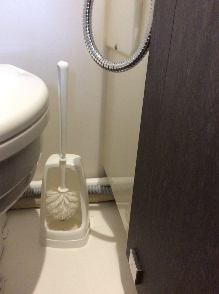 Toilet brush