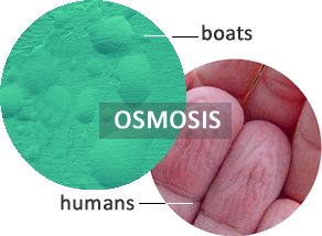 Osmosis