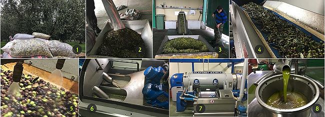 the olive oil process